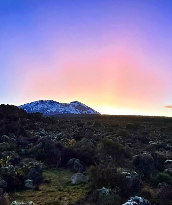 mva-kili-(18)