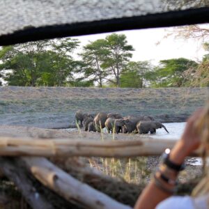 migration_venture_afric (157)