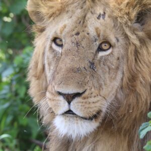 migration_venture_afric (37)