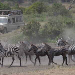 migration_venture_afric (59)