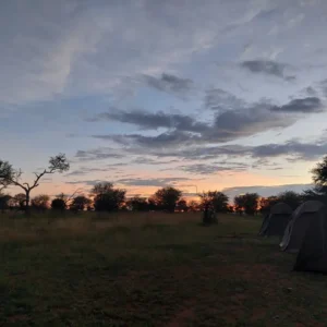 SnapInsta.to_475576613_18057231124953770_8732677975976831054_n