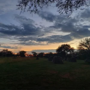 SnapInsta.to_475635272_18057231115953770_3473365132743480056_n