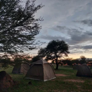 SnapInsta.to_475680640_18057231133953770_8995151166221595046_n