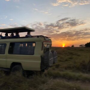 MVA-Safari vehicles (1)